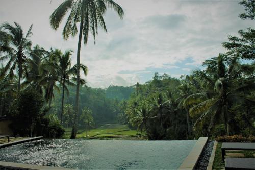 Фотография мини отеля The Papas Villas