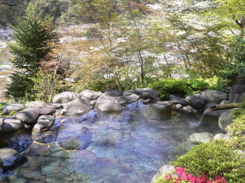 Фотография мини отеля Kinugawaonsen Hananoyado Matsuya