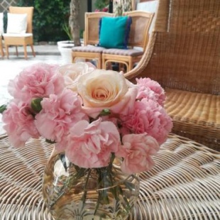 Фотография гостевого дома My Garden