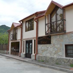 Фотография гостиницы Hotel Bagineti