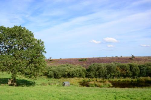 Фотография мини отеля Folly Hall Farm