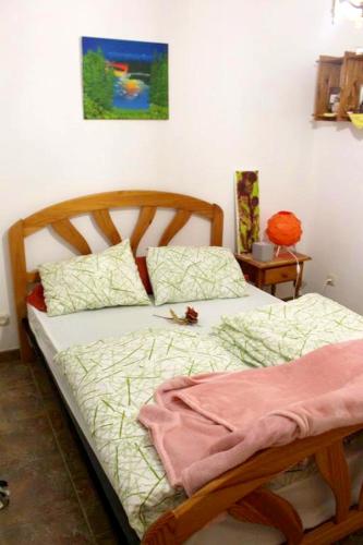 Фотография гостевого дома One bedroom house with sea view enclosed garden and wifi at Vallehermoso 2 km away from the beach