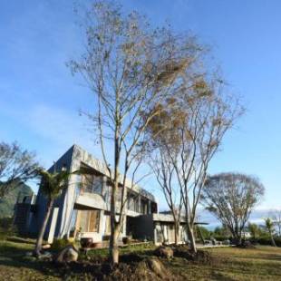 Фотографии гостевого дома
Stone Party