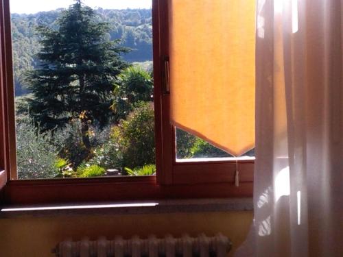 Фотография гостевого дома Il gelsomino del Perugino