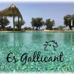 Фотографии базы отдыха
Agroturismo Es Gallicant