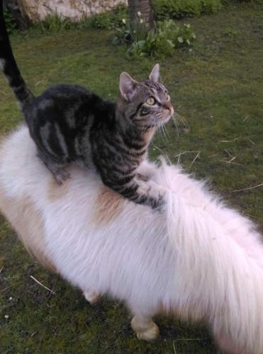 Фотография мини отеля Celine'Home