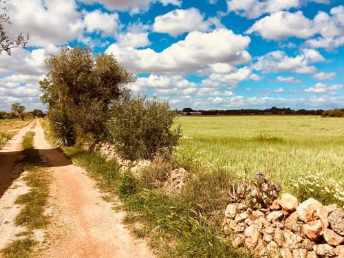 Фотография гостевого дома Arthouse Campos