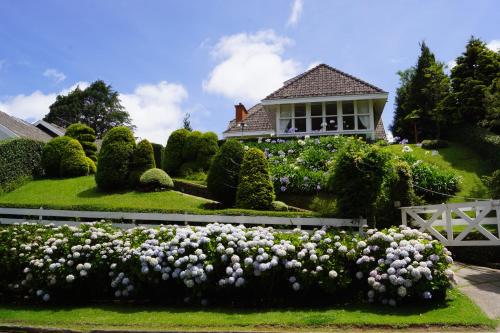 Фотография мини отеля Pousada Chateau Colinas