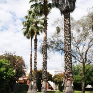 Фотографии мотеля 
            Gardenview