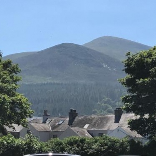 Фотография гостевого дома Mountain View