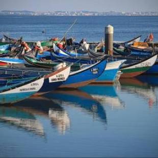 Фотографии кемпинга 
            Torreira Camping & Bungalows