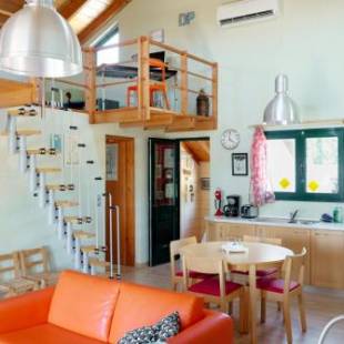 Фотографии гостевого дома 
            Olive Grove