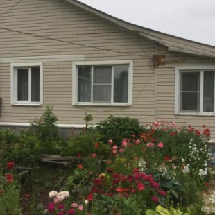 Фотография гостевого дома Березовый