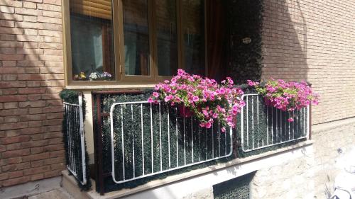 Фотография квартиры Appartamento Gori 2