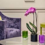 Фотография гостиницы Mercure Paris Notre Dame Saint Germain des Prés