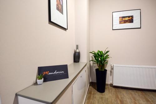 Фотография гостиницы Mandarin Premium Apartments