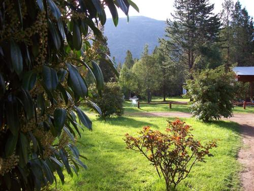 Фотография гостевого дома Cabañas Auquin Lemu