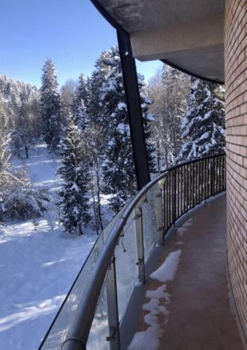 Фотография апарт отеля Bakuriani House in Forest