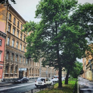 Фотография апарт отеля Окошки