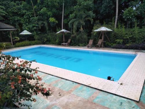 Фотография гостиницы Penginapan Rudi