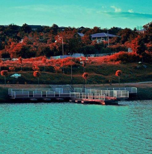 Фотография гостевого дома Tsivi Tba