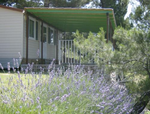 Фотография кемпинга Camping PINUS