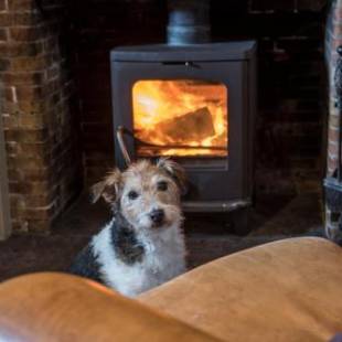 Фотографии гостиницы
Black Bull