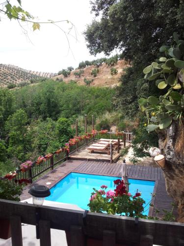 Фотография гостевого дома El Tajil