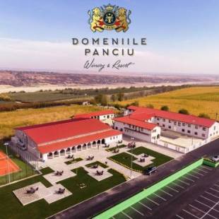 Фотография гостиницы Domeniile Panciu Winery & Resort
