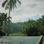 Фотография мини отеля The Papas Villas