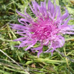 Фотографии гостевого дома
Mackólak Vendégház és Ökoporta