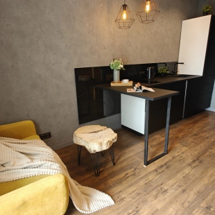 Фотография квартиры Квартира Стильная Студия Лофт Центр