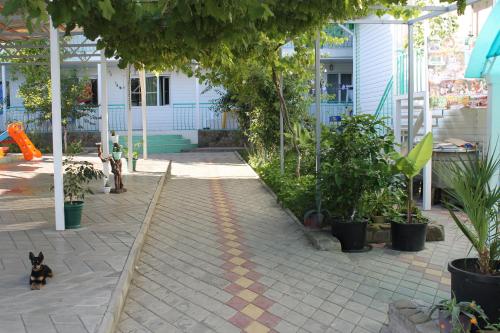 Фотография гостевого дома У Светланы