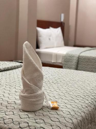 Фотография гостиницы Hotel Selva Dorada