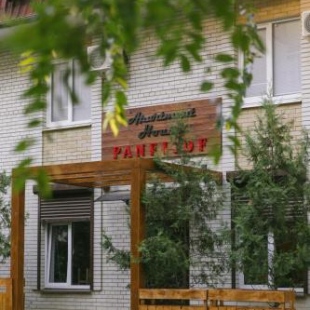 Фотография гостиницы Panfilof