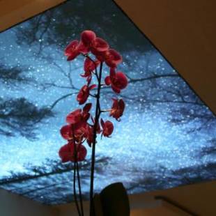 Фотографии гостиницы 
            Hotel Bel Horizon