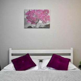 Фотография квартиры Апартаменты Как дома по улице 78-й Добровольческой Бригады 23