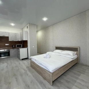 Фотография квартиры Апартаменты на улице Смолина  61