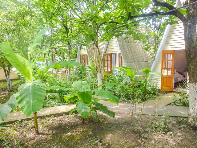 Фотография базы отдыха Дружба