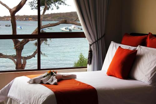 Фотография гостиницы La Zayapa