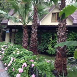 Фотография гостевого дома Сан-Марино