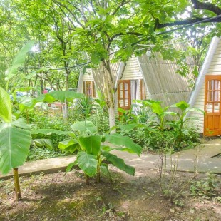 Фотография базы отдыха Дружба