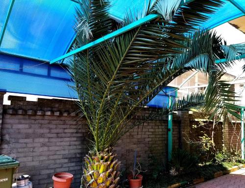 Фотография гостевого дома Blacksea_holiday