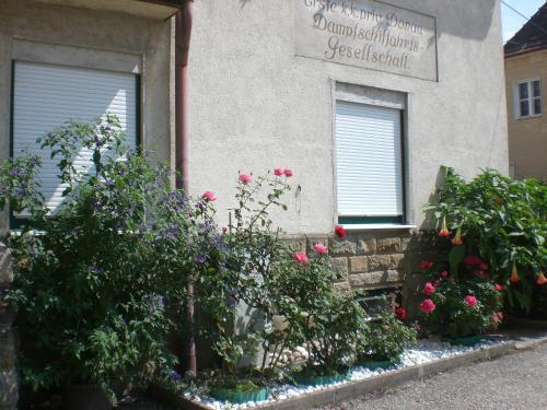 Фотография гостевого дома Privatzimmer Familie Wagner