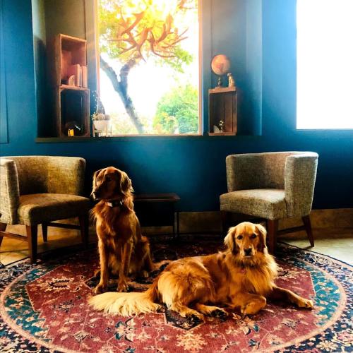 Фотография гостиницы Maverick Hotel