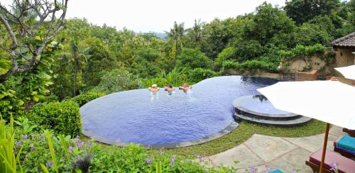 Фотография базы отдыха Alamanda Lovina