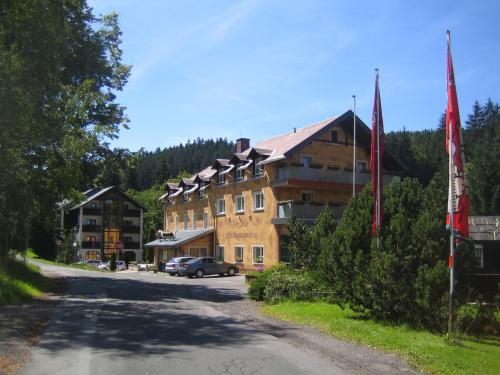 Фотография гостиницы Hotel Ladenmühle