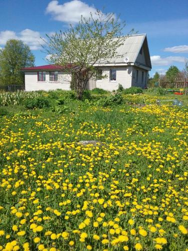 Фотография гостевого дома Дом на Семи Ветрах
