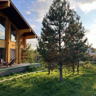 Фотография Коттеджа Частный дом Комфорт на Солнечной Долине