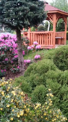 Фотография мини отеля Noclegi U Andrzeja